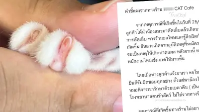 เปิดคำขอโทษ "คาเฟ่แมวชื่อดัง" ตัดเล็บแมวเลือดออก ลั่น เป็นอุบัติเหตุ