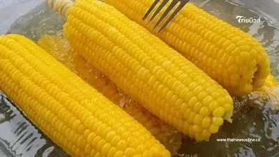 เคล็ดลับต้มข้าวโพดหวาน อร่อยเต่งตึง พร้อม 8 สุดยอดประโยชน์