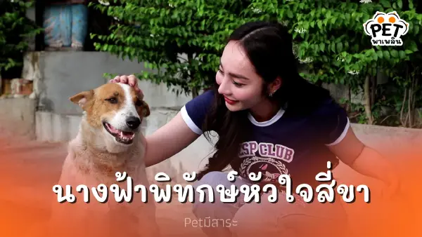 ผู้กองลูกตาล นางฟ้าพิทักษ์หัวใจสี่ขา