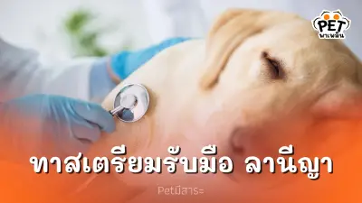 สภาวะลานีญา การเปลี่ยนแปลงที่ทาสต้องรับมือ