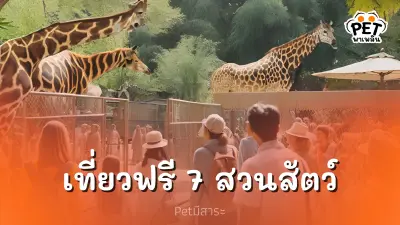 เที่ยวฟรี 7 สวนสัตว์ทั่วไทย เนื่องในวันเฉลิมพระชนมพรรษา