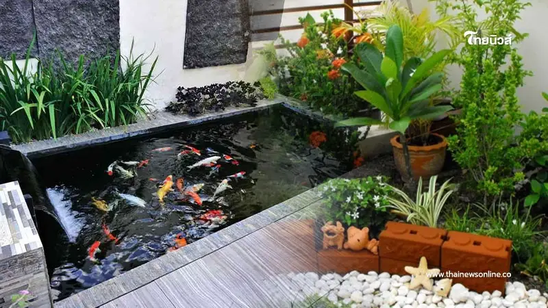 จุดสำคัญในบ้านตามหลักฮวงจุ้ย ต้องรู้ว่าอยู่ตรงไหน และต้องทำยังไง จุดสำคัญในบ้านตามหลักฮวงจุ้ย ต้องรู้ว่าอยู่ตรงไหน และต้องทำยังไง