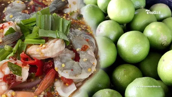 กุ้งโดนมะนาว สุกแล้วหรือยังดิบ ความจริงกระจ่างแล้ว กุ้งโดนมะนาว สุกแล้วหรือยังดิบ ความจริงกระจ่างแล้ว