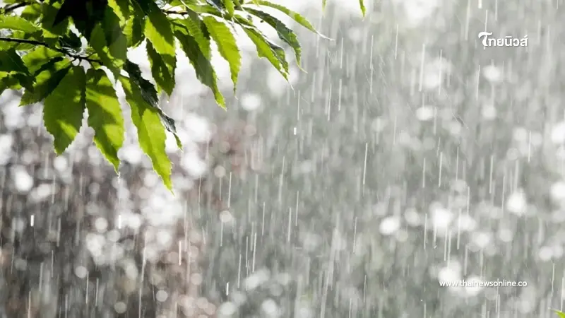 พยากรณ์อากาศวันนี้ เตือนพื้นที่ 50 จว. ฝนตกหนัก และเส้นทางพายุดีเปรสชัน พยากรณ์อากาศวันนี้ เตือนพื้นที่ 50 จว. ฝนตกหนัก และเส้นทางพายุดีเปรสชัน
