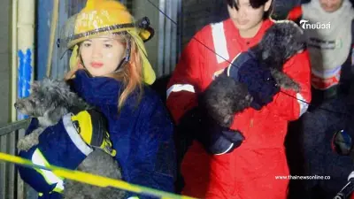 "คนรักสัตว์" ชื่นชมทีมอาสาฯ ช่วยสัตว์พ้นไฟไหม้เยาวราช