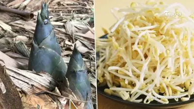 ระวัง พืช ผัก มีไซยาไนด์ตามธรรมชาติ ห้ามกินดิบ ระวัง พืช ผัก มีไซยาไนด์ตามธรรมชาติ ห้ามกินดิบ