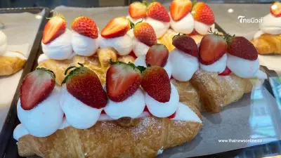 "งดของหวาน งดน้ำตาล แก้ปวดไมเกรน" จริงหรือมั่วเช็คให้ชัวร์ๆแล้ว "งดของหวาน งดน้ำตาล แก้ปวดไมเกรน" จริงหรือมั่วเช็คให้ชัวร์ๆแล้ว