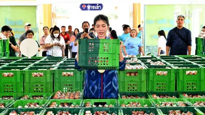 เทนนิส ทำตามสัญญา ถวายไข่ 1 แสนฟอง หลวงพ่อโสธร เทนนิส ทำตามสัญญา ถวายไข่ 1 แสนฟอง หลวงพ่อโสธร