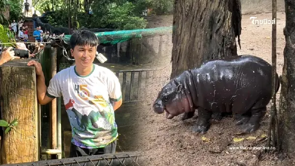 เกินฝันไปไกล พี่เลี้ยงหมูเด้ง เผยเส้นทางชีวิตสุดปัง เกินฝันไปไกล พี่เลี้ยงหมูเด้ง เผยเส้นทางชีวิตสุดปัง