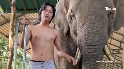 ควาญช้าง ขอพูดบ้าง ทุกคนรู้น้ำมาแล้ว แต่ทำไมคุณไม่ฟัง