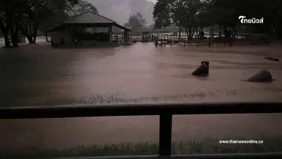 ปางช้างดัง ElephantNaturePark น้ำทะลัก ดินถล่มซ้ำ วอนช่วยเร่งอพยพสัตว์ด่วน