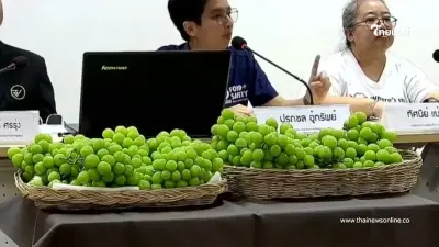 อย. พบสารพิษตกค้างใน "องุ่นไชน์มัสแคท" กว่า 50 ชนิด