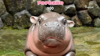 เล่นเกม "popdog click หมูเด้ง" จิ้มแก้ม "เด้งๆ" เก็บคะแนนความน่ารัก