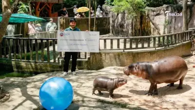 หมูเด้งปัง เศรษฐีดูไบใจป้ำ บินตรงมอบ 5 ล้าน