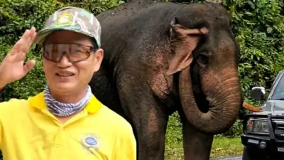 ดราม่า "สุทธิพร" มือปราบช้างเขาใหญ่ โบกมือลา ปิดตำนานกว่า20ปี ล่าสุดแจงแล้ว