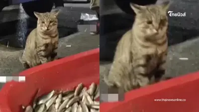 เจ้าของแผงจับโจรขโมยปลาได้ แต่ชาวเน็ตเอ็นดู รู้วีรกรรมแล้วไม่ธรรมดาเลย