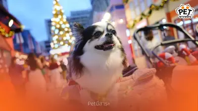 CentralwOrld X J.P.TOYS แลนด์มาร์กแห่งเทศกาลคริสต์มาสและปีใหม่