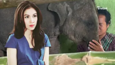 "กบ สุวนันท์" เผยมีเรื่องให้เสียน้ำตาแต่เช้า ใจหายเฝ้าตามดูมาเป็นปี "กบ สุวนันท์" เผยมีเรื่องให้เสียน้ำตาแต่เช้า ใจหายเฝ้าตามดูมาเป็นปี