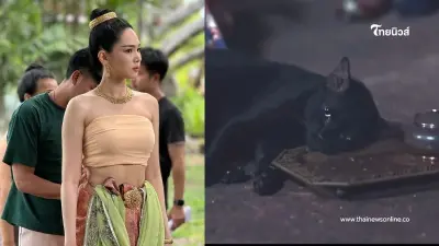 "บิ๊นท์ สิรีธร" โดนจวกเดือด โพสต์คะนองฉากวางยาแมว รีบขอโทษทันที