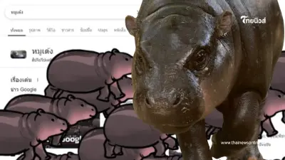 กดค้นหา "หมูเด้ง" บน Google แล้วตกใจ เจอ เด้งๆ วิ่งมาหาทั้งกองทัพ กดค้นหา "หมูเด้ง" บน Google แล้วตกใจ เจอ เด้งๆ วิ่งมาหาทั้งกองทัพ
