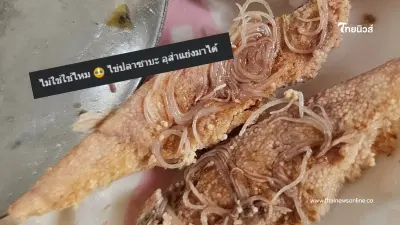 รู้แล้ว "ไข่ปลาซาบะสยอง" ที่แท้ ตัวอะไรอยู่ในนั้น ชาวเน็ตแห่เมนต์สนั่น รู้แล้ว "ไข่ปลาซาบะสยอง" ที่แท้ ตัวอะไรอยู่ในนั้น ชาวเน็ตแห่เมนต์สนั่น