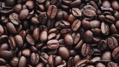 10 ประเทศที่ดื่มกาแฟมากที่สุดในโลก ปี 2024
