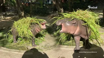 หมูเด้ง สร้างชื่อเสียงให้ประเทศไทยในสายตานานาชาติ