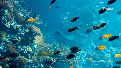 10 จังหวัดที่มีผู้เยี่ยมเยือนมากที่สุดในเดือนที่ผ่านมา