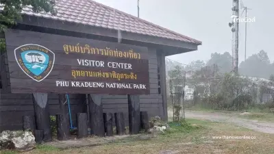 ภูกระดึงระทึก ช้างป่าทำร้ายนักท่องเที่ยวดับสลด วนกลับมาทำร้ายซ้ำ 2 รอบ
