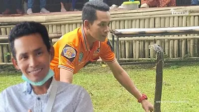 "บังฉา มือปราบอสรพิษ" ปลอดภัยแล้ว หลังถูกจงอางกัดสาหัส เนื้อตาย หวิดเสียแขน