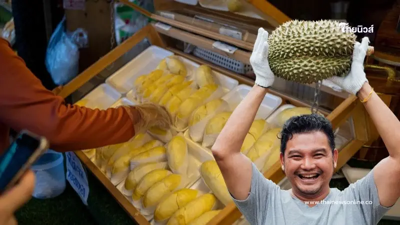 ทุเรียนไทยเจอศึกหนัก เสียส่วนแบ่งตลาดให้เวียดนาม ทุเรียนไทยเจอศึกหนัก เสียส่วนแบ่งตลาดให้เวียดนาม