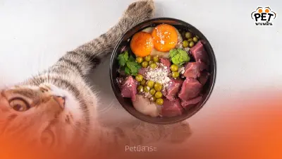 อาหารบาร์ฟ (BARF) ทางเลือกใหม่สำหรับสัตว์เลี้ยงของคุณ