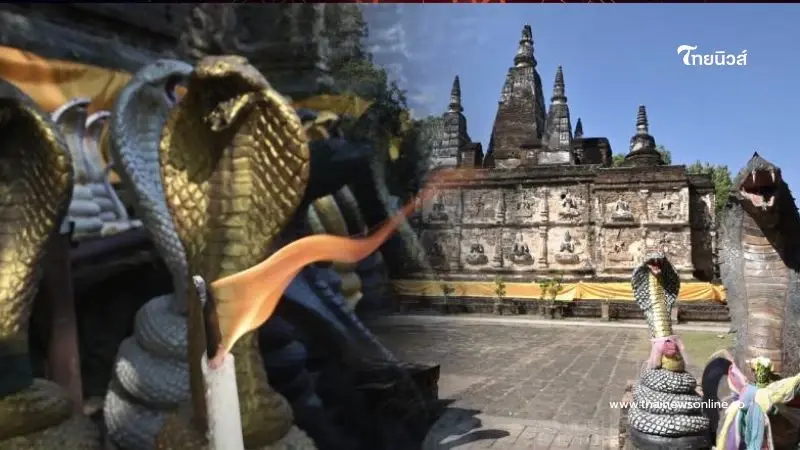 วัดเจ็ดยอด เชียงใหม่ สุดคึกคัก นักท่องเที่ยวร่วมสักการะพระธาตุปีมะเส็ง วัดเจ็ดยอด เชียงใหม่ สุดคึกคัก นักท่องเที่ยวร่วมสักการะพระธาตุปีมะเส็ง