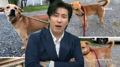 วีรกรรมเจ้าของ "น้องทองดี" เหยื่อโผล่แฉเพียบ "หนุ่ม กรรชัย" ยังโดน?