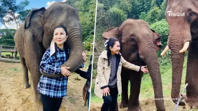 "หนูนา กัญจนา" ทุ่ม 49 ล้านสร้างรพ.ช้าง ก่อนประกาศอำลาวงการ พร้อมเผยเหตุผล
