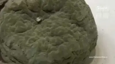 ผลไม้ประหลาด ผลละ 2,300 พอรู้ว่าเป็นลูกอะไร เอามือกุมขมับเลย