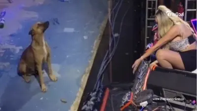 นักร้องสาวยกเลิกจุดพลุในคอนเสิร์ต รู้เหตุผลแฟนคลับชื่นชมสนั่น