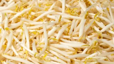 นักวิจัยชี้ "ถั่วงอก" สารพัดประโยชน์ กินดิบ-สุก ต่างกันอย่างไร?