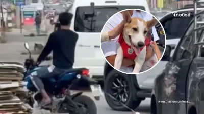 สลด หนุ่มโหดผูกสุนัขท้ายรถ ลากกลางถนน แถมปากแจ๋วท้าพลเมืองดี