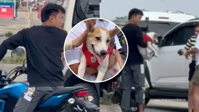 เอาผิดให้สาสม "หนุ่มโหด" ลากลูกหมา มูลนิธิวอชด็อกลุยเช็คบิล
