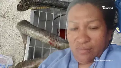 สาวเก็บเห็ด สู้งูจงอางกัด ฟาดดับ หิ้วซากมารพ. แห่ซูฮกใจเด็ดมาก