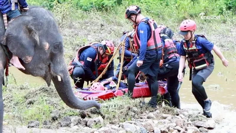 "กู้ภัยช้าง" ฝึกช่วยชีวิตเรือล่มแม่แตง โชว์แสนรู้ลุยน้ำป่า "กู้ภัยช้าง" ฝึกช่วยชีวิตเรือล่มแม่แตง โชว์แสนรู้ลุยน้ำป่า