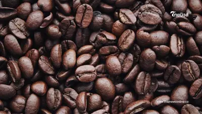 กาแฟดำ ฮิตจริง ดีชัวร์ หรือแค่กระแส สรุปให้แล้ว ควรดื่มไหม กาแฟดำ ฮิตจริง ดีชัวร์ หรือแค่กระแส สรุปให้แล้ว ควรดื่มไหม