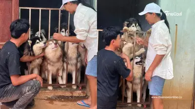 สุนารี ราชสีมา เดินหน้าช่วยน้องหมาถูกทิ้งไม่หยุด ยืนยัน ไม่ได้อวดรวย