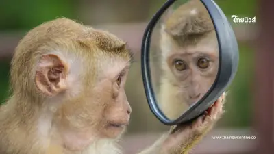 สายมูควรรู้ แค่ขยับ กระจกเงา วางให้ถูกที่สิ่งดีๆ จะตามมา