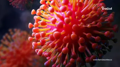 โควิด-19 ระบาดต่อเนื่อง พบป่วยใหม่ 17,051 ราย เสียชีวิตเพิ่ม 9 ราย