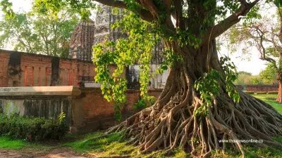 เปิดความเชื่อ 6 ต้นไม้ของไทย ที่มีความเชื่อว่าห้ามปลูกในบ้าน