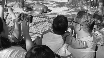 สาเหตุเสียชีวิต น้องออโต้ วัย 6 ขวบ อยากดูหมูเด้งเป็นครั้งสุดท้าย สาเหตุเสียชีวิต น้องออโต้ วัย 6 ขวบ อยากดูหมูเด้งเป็นครั้งสุดท้าย