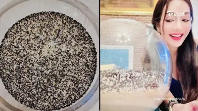 โค้งสุดท้ายแล้ว "อ๋อม สกาวใจ" เปิดเลขน้องกระดิ่ง เห็นเลขชัดมาก