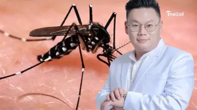 เปิดความจริงเรื่อง "ไข้เลือดออก" รู้แล้ว ระยะไหน น่ากลัวที่สุด เปิดความจริงเรื่อง "ไข้เลือดออก" รู้แล้ว ระยะไหน น่ากลัวที่สุด